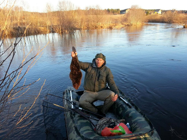 Валуев вытащил из воды бобра Валуев вытащил из воды бобра