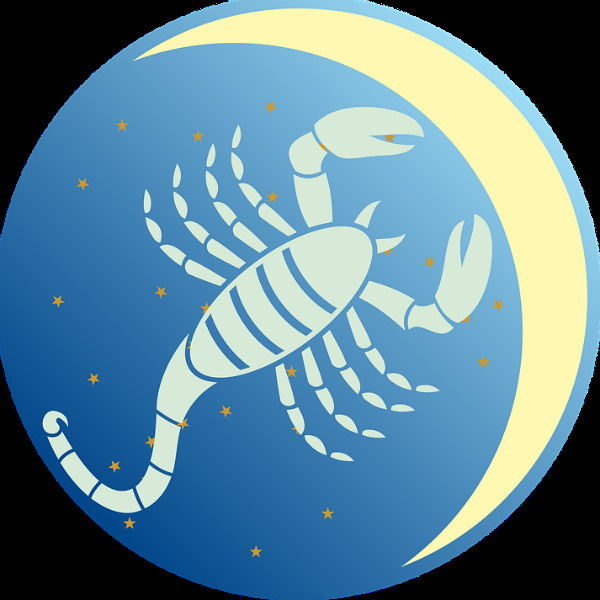 Скорпион Скорпион