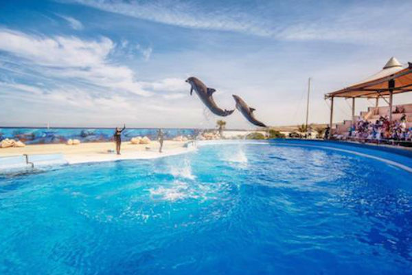 Детский парк Mediterraneo Marine Park Детский парк Mediterraneo Marine Park