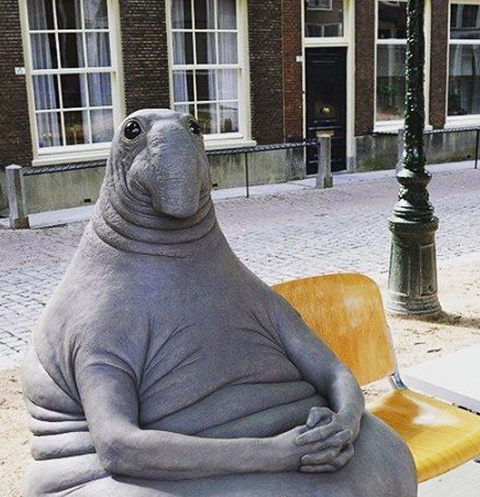 Ждун Ждун