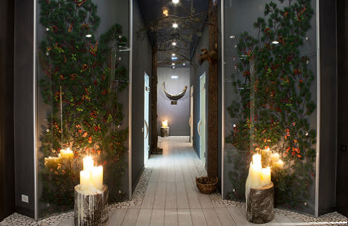 FRESH SPA by Natura Siberica FRESH SPA by Natura Siberica