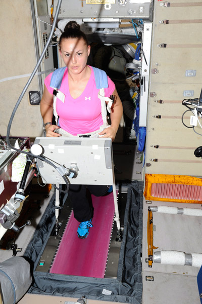 Елена должна регулярно заниматься спортом Елена должна регулярно заниматься спортом