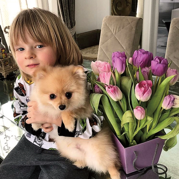 Дома мальчик любит играть со шпицем по кличке Панчо Дома мальчик любит играть со шпицем по кличке Панчо