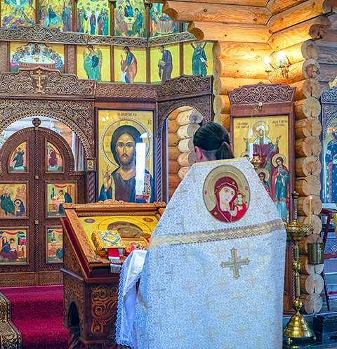 Инцидент произошел в Новогорске Инцидент произошел в Новогорске