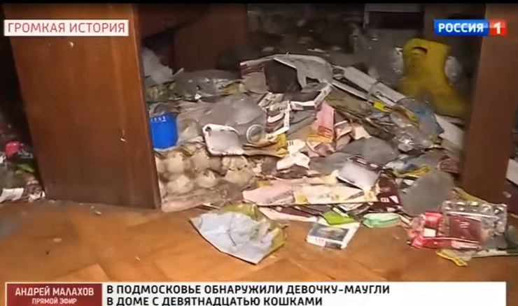 Девочка жила в антисанитарных условиях Девочка жила в антисанитарных условиях
