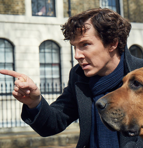 Новости: Прощание с «Шерлоком»: как финал культового сериала осчастливил и разочаровал фанатов – фото №1