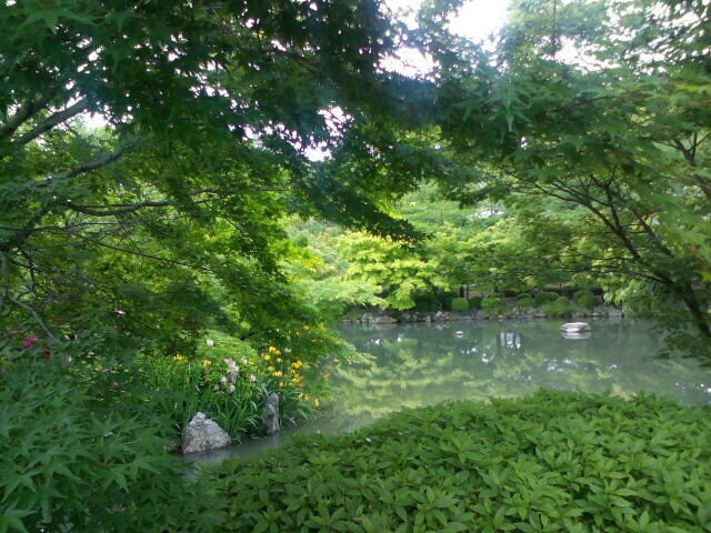 Природа парков Японии