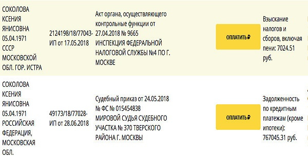 Долги Соколовой Долги Соколовой