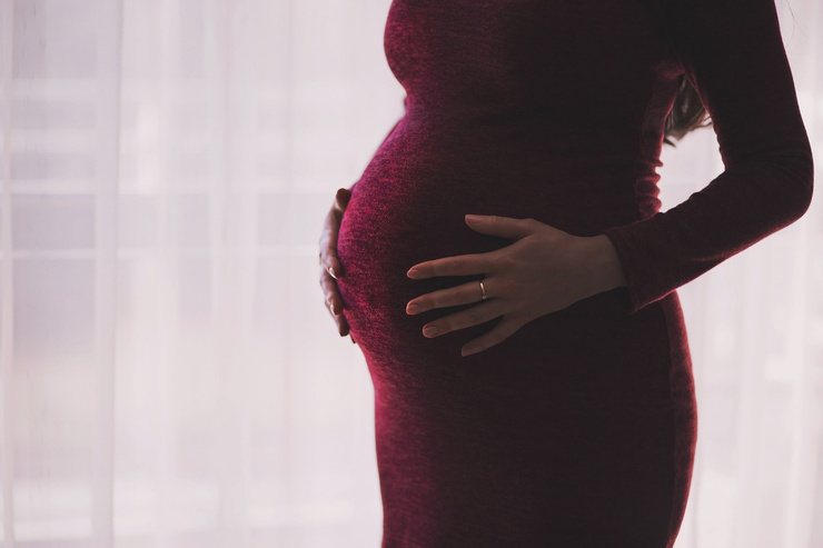 Расходы суррогатной матери во время беременности покрываются заказчиками