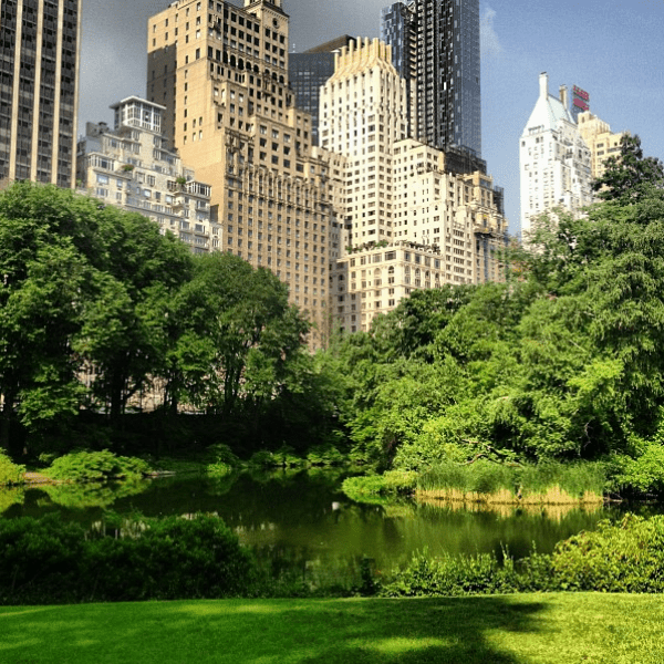 Знаменитый Центральный парк Нью-Йорка