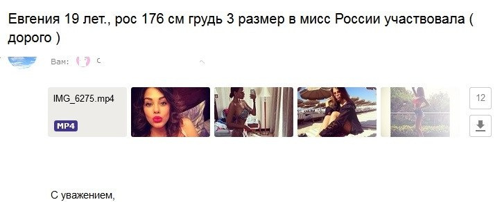 Анкета Евгении в специальном чате для клиентов эскорт-агентств