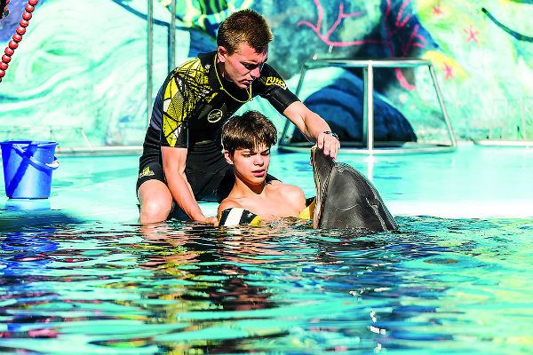 Благодаря дельфинотерапии состояние мальчика заметно улучшается