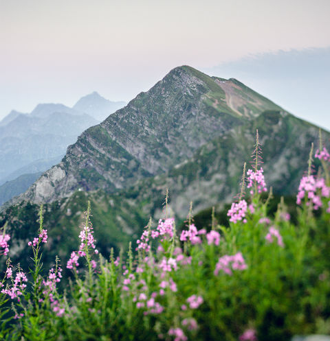 10 причин поехать в горы летом