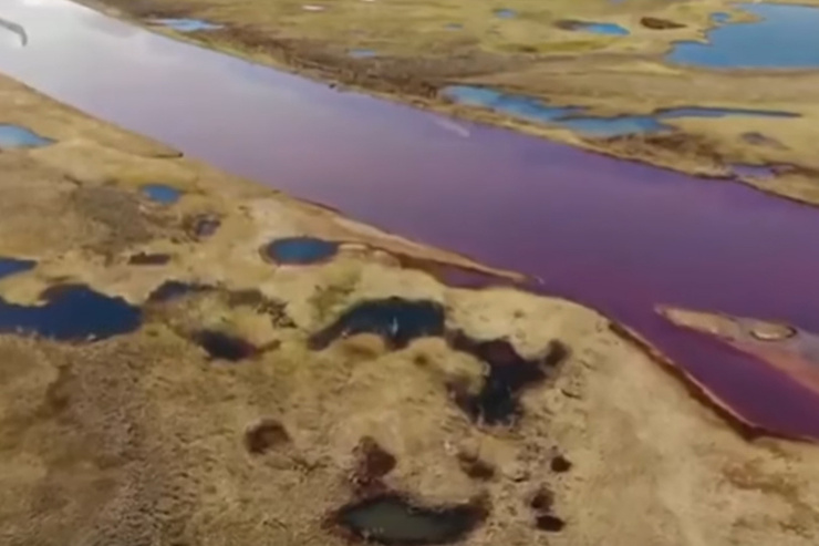Из-за выброса нефтепродуктов реки поменяли свой цвет