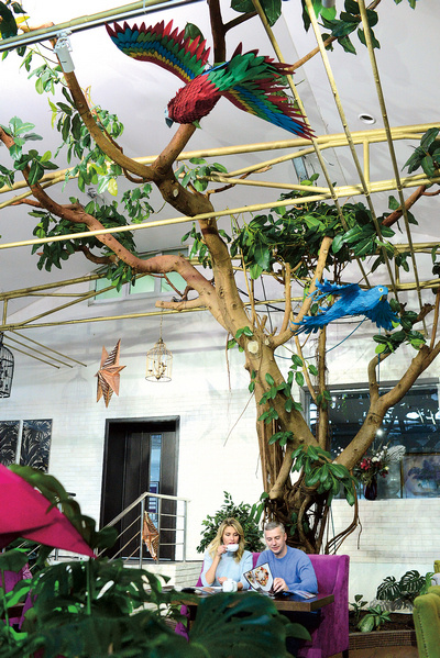 Катя и Артем пришли в восторг от ресторана «Фикус», названного в честь гигантского дерева, которое растет прямо в зале 