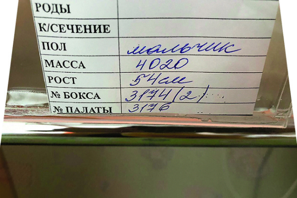 Первый документ Саши Малахова Первый документ Саши Малахова