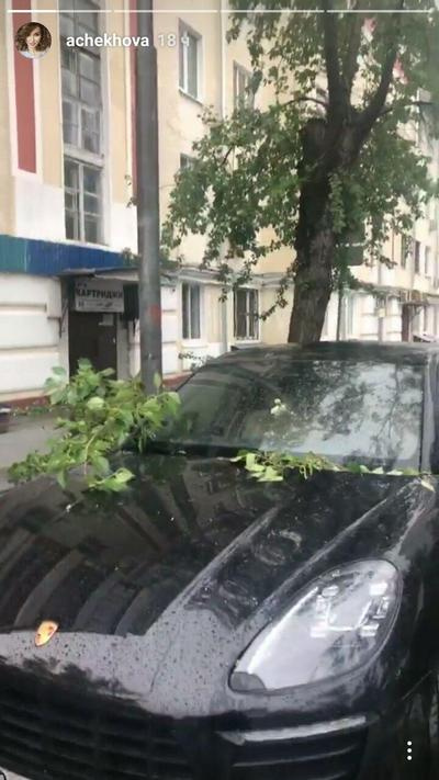 Машина Анфисы Чеховой, заваленная ветками деревьев