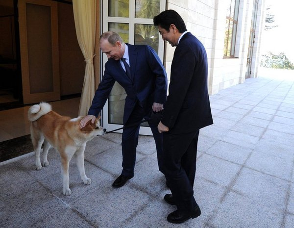 Владимир Путин перед началом встречи с премьер-министром Японии Синдзо Абэ