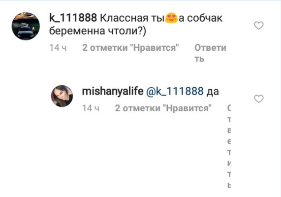 Мишаня подтвердила беременность Ксении Мишаня подтвердила беременность Ксении
